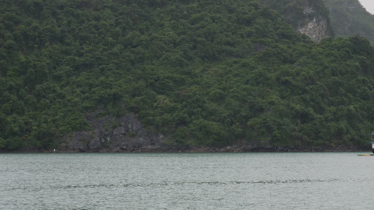 베트남 의 하롱 만 의 경치 좋은 풍경 으로 물 과 산악 섬 이 그려져 있다