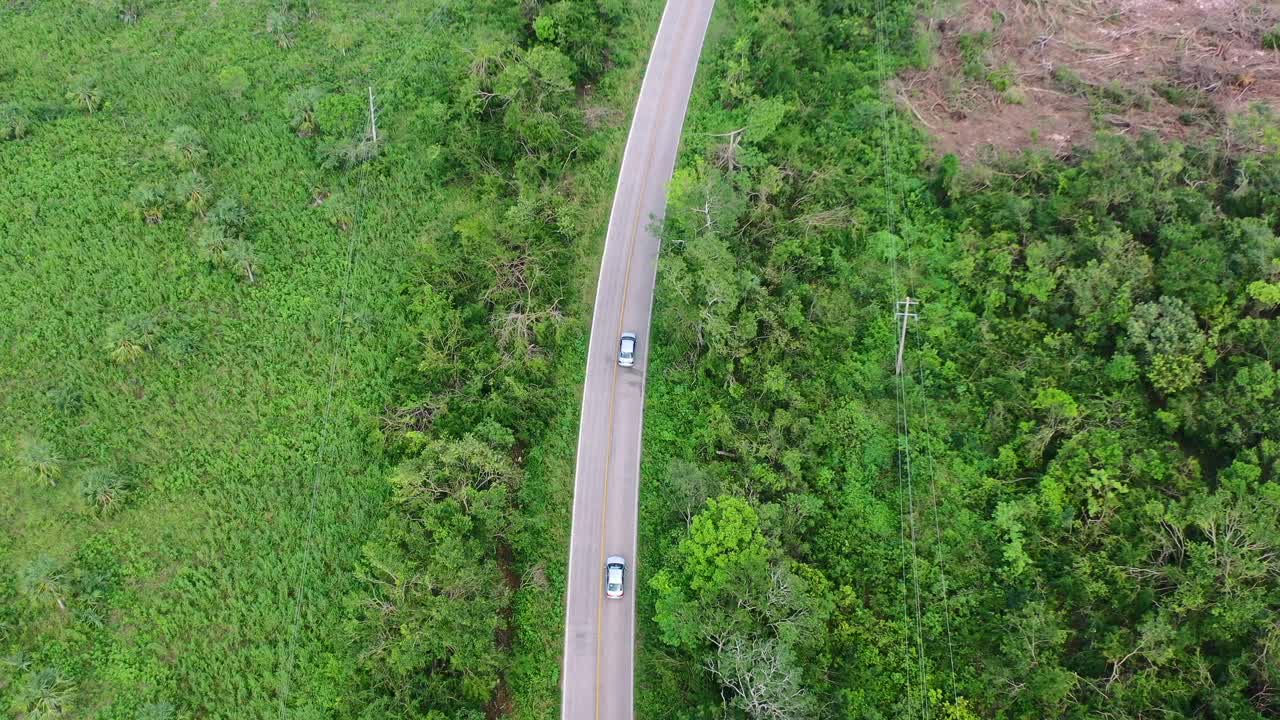 dos coches conduciendo por una carretera vacía en un exuberante bosque verde, con la parte superior aérea hacia abajo