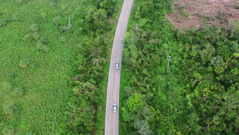 two cars driving on empty road in a lush green forest, aerial top down