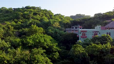 drone shot hotel inside vegetation