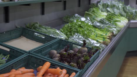 tracking shot of cabbage and carrots in bins in grocery store produce section