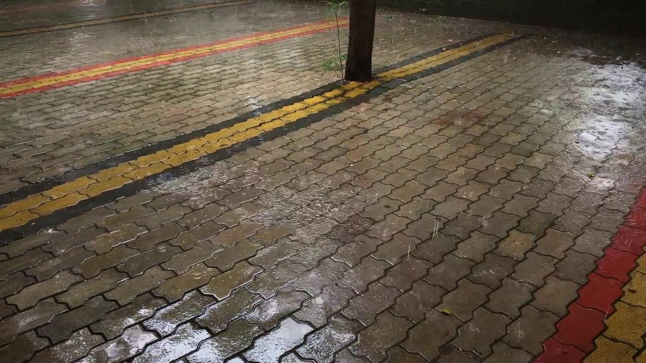 Static shot of heavy rain falling across wet brick pavement with water accumulating around a tree and roadside surface