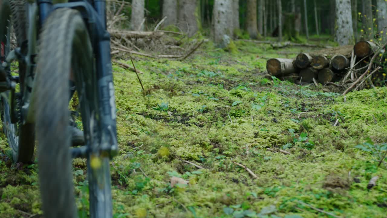 산악 자전거 타는 사람이 양토 카펫에 뛰어든다