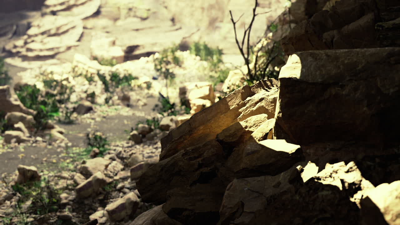 Sunlight illuminating rugged stones in a tranquil canyon landscape