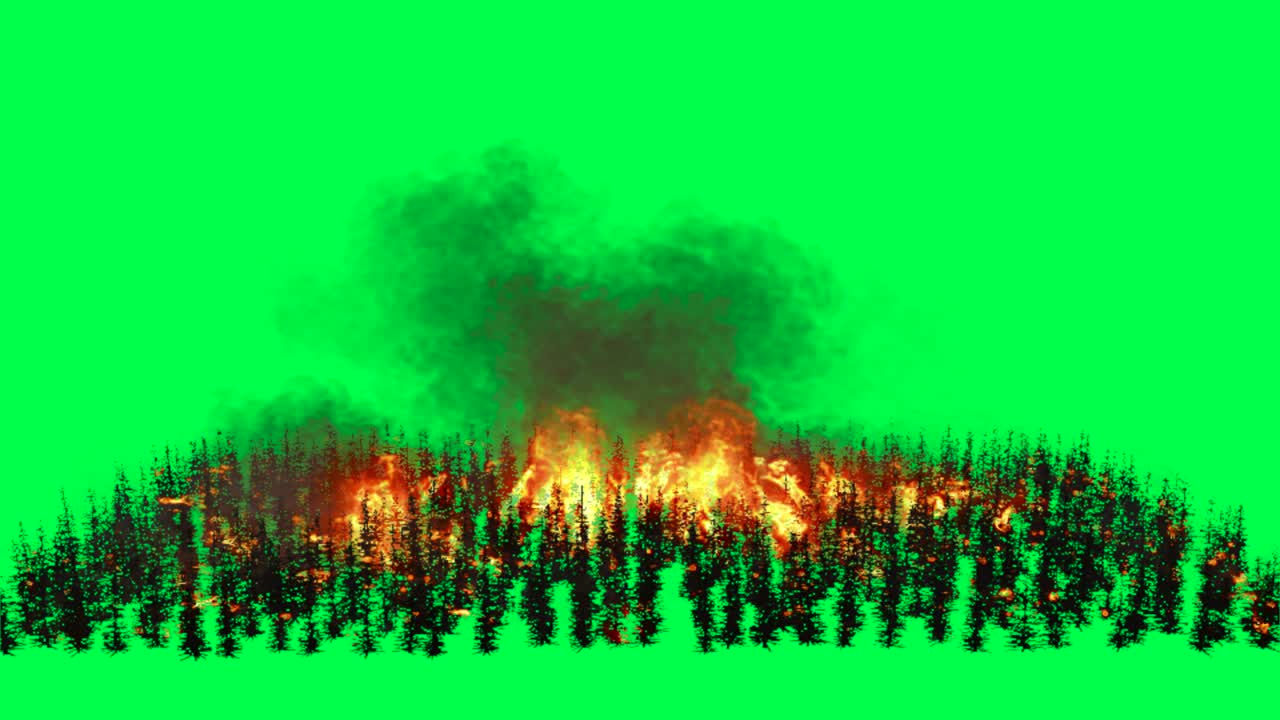 초록색 화면에서 산불