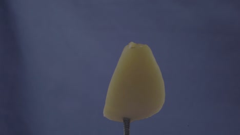 apricot rotating with loop on blue screen for chroma key