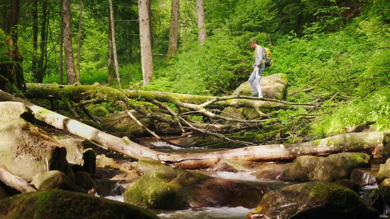 배낭을 메고 있는 관광객이 쓰러진 나무 4k 비디오를 통해 산 강을 건너고 있다