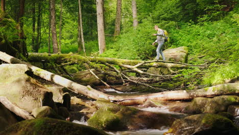 a tourist with a backpack is crossing the mountain river through a fallen tree 4k video