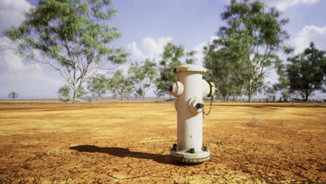 dry landscape with a white fire hydrant surrounded by sparse vegetation