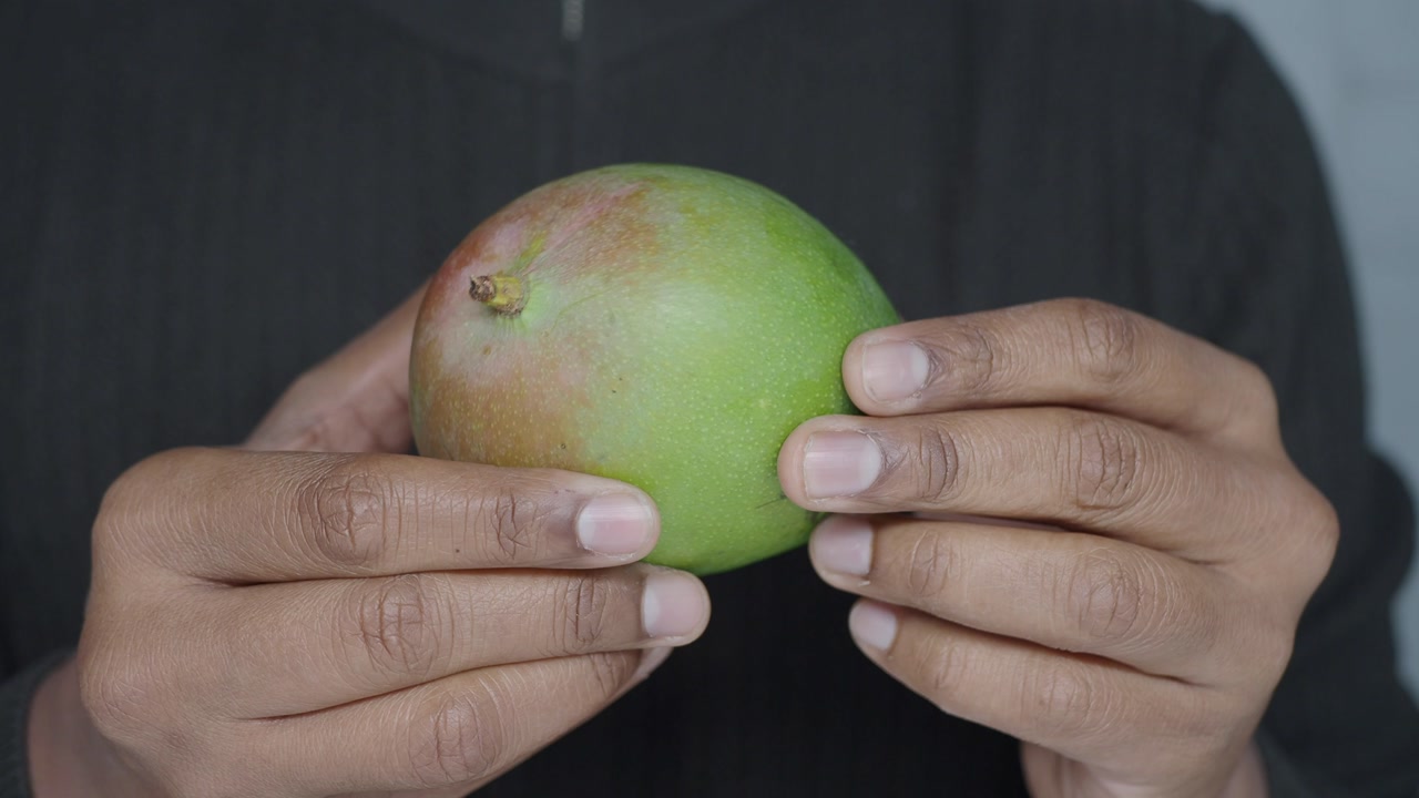 Close-up of Hands Holding a Fresh Green Mango
