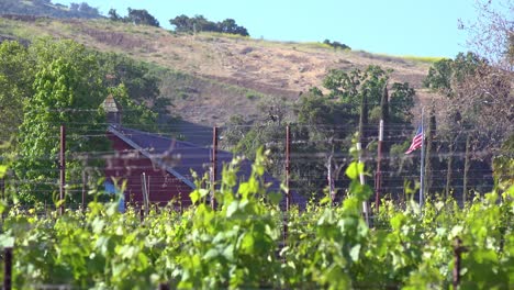 foco de rack de una pequeña granja orgánica que ondea la bandera americana en santa ynez santa barbara california