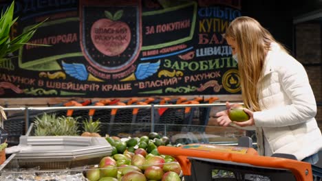 young woman with little daughter choosing fresh mangoes at store, slow motion. buying exotic tropical fruits