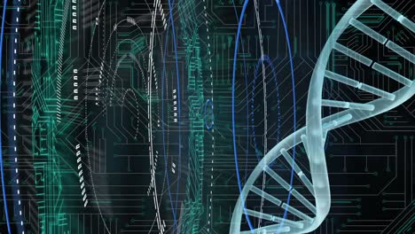 Estructura-De-ADN-Que-Gira-Contra-Las-Conexiones-Del-Microprocesador.