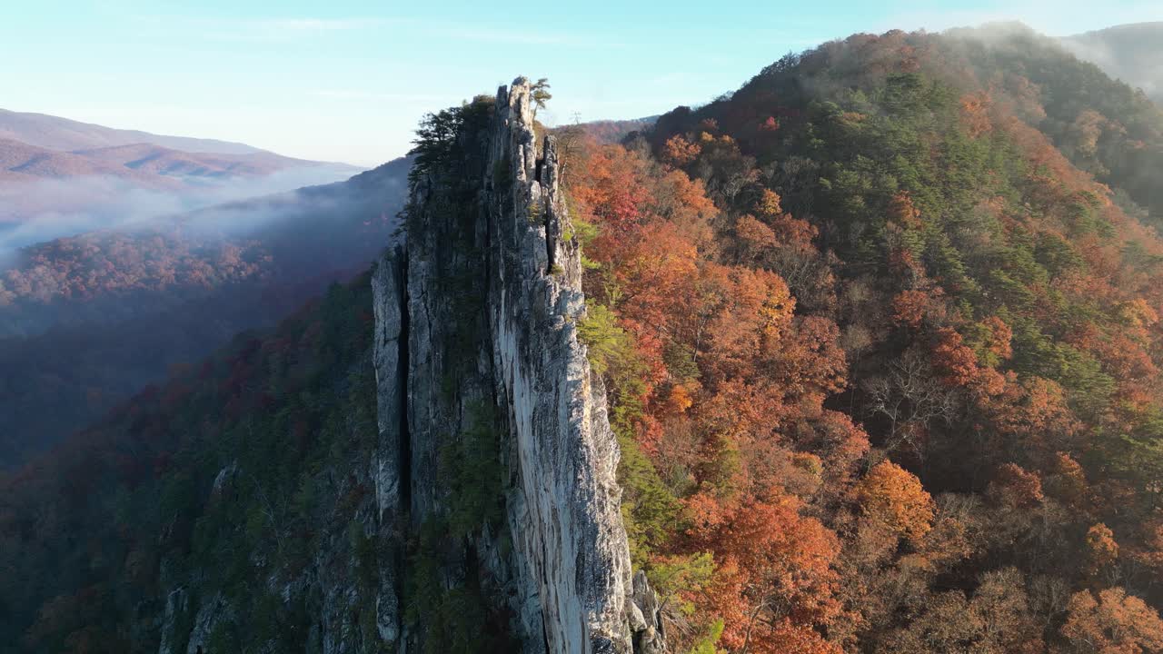 세네카 록스 척추 무인 항공기 아침
