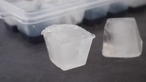 ice cubes in tray