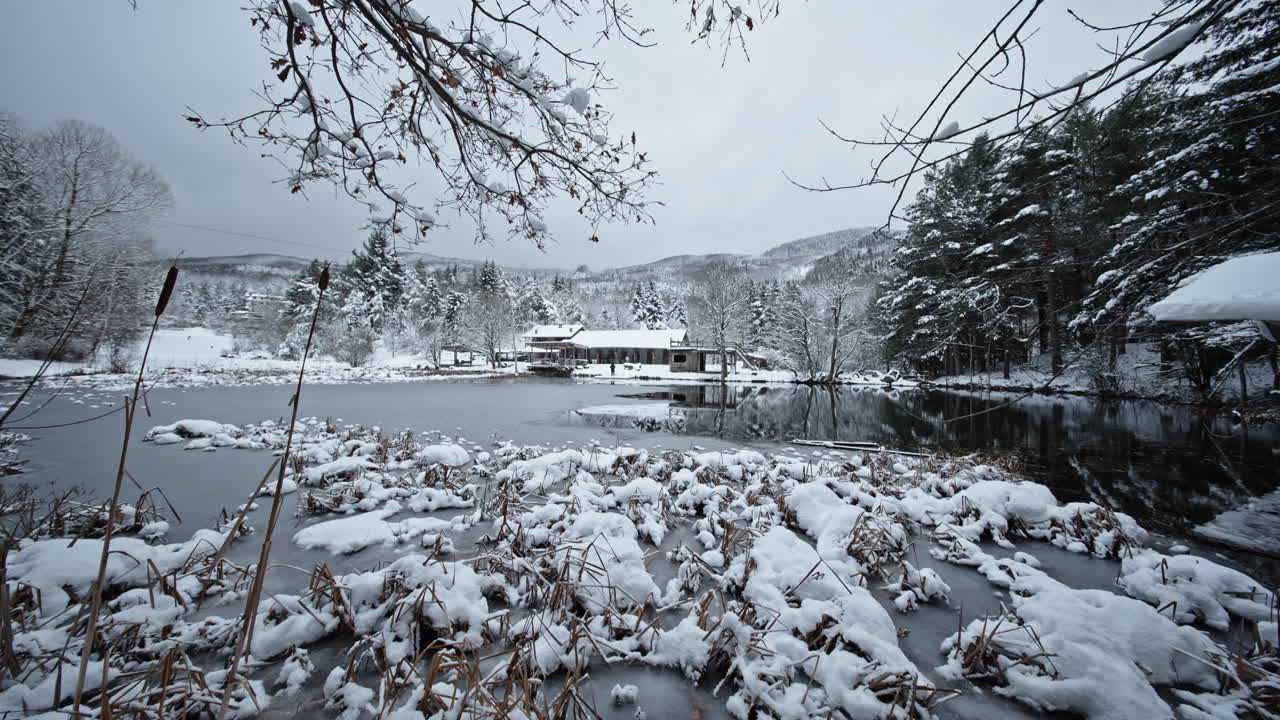 호수, 멀리 있는 오두막, 그리고 겨울철 나무 들 이 있는 차분 한 눈 인 풍경