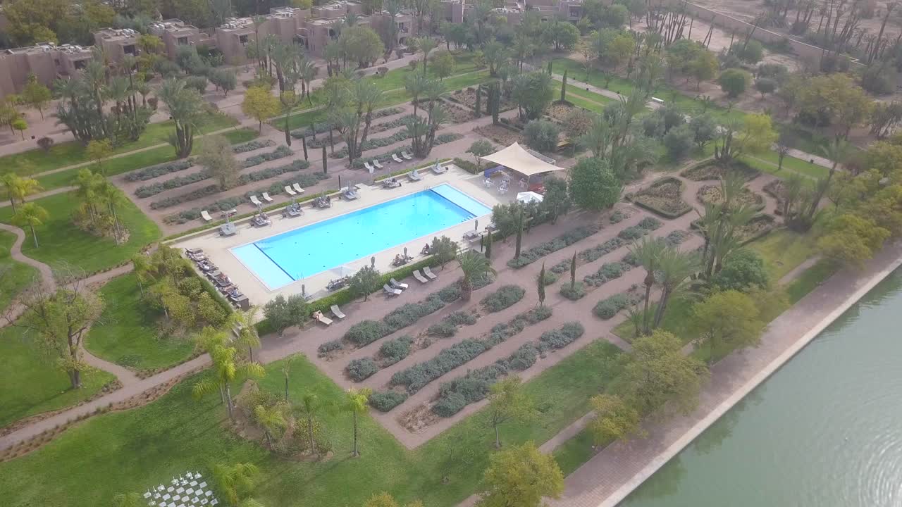 zoom de nado aéreo y palmeras