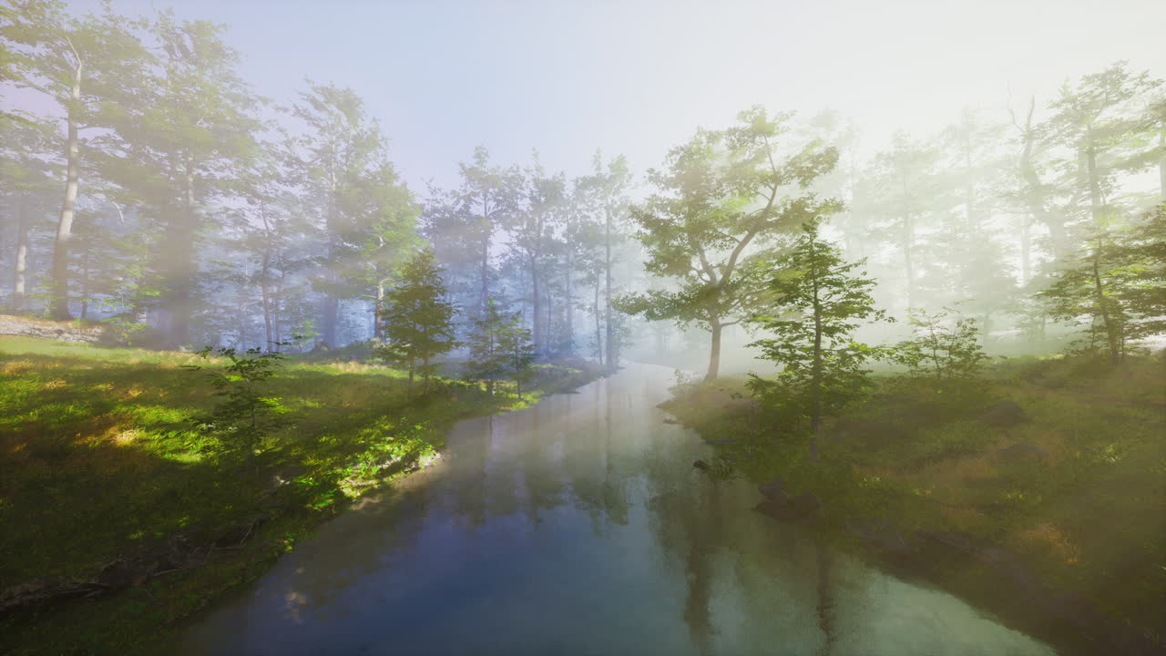 영화 속 가을 시즌 숲의 fpv 비행 장면