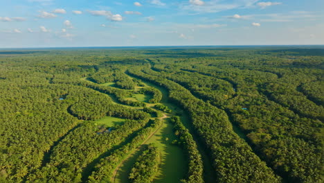 una vista aérea de un exuberante bosque tropical