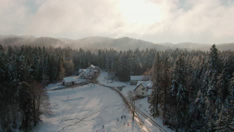 drone shot over a village in the forest