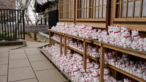 collection of maneki-neko lucky cat figurines at a japanese shrine
