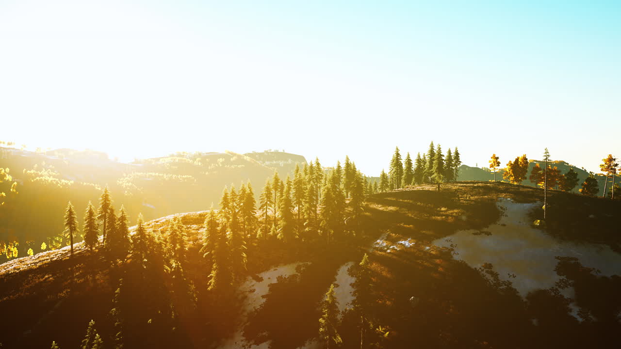 해가 지면 산불 연기가 있는 알파인에 있는 아름다운 나무의 숲