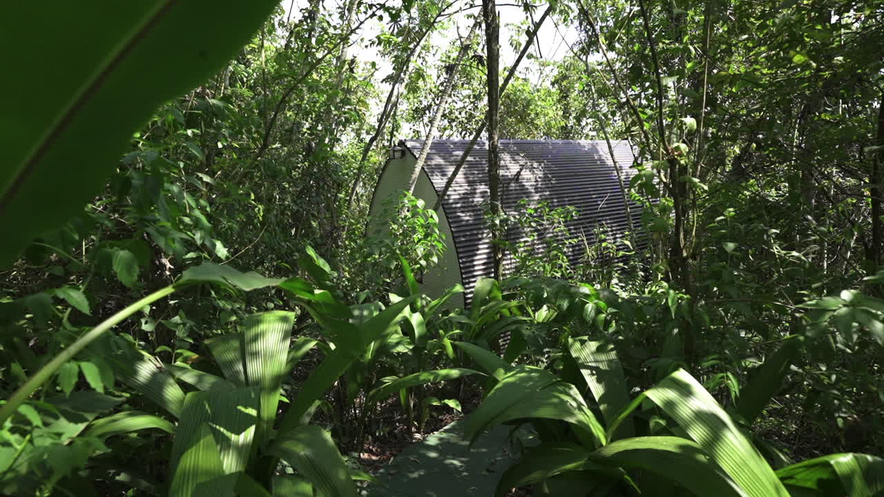 Eco cabin partially hidden in dense tropical jungle surrounded by lush green plants and trees