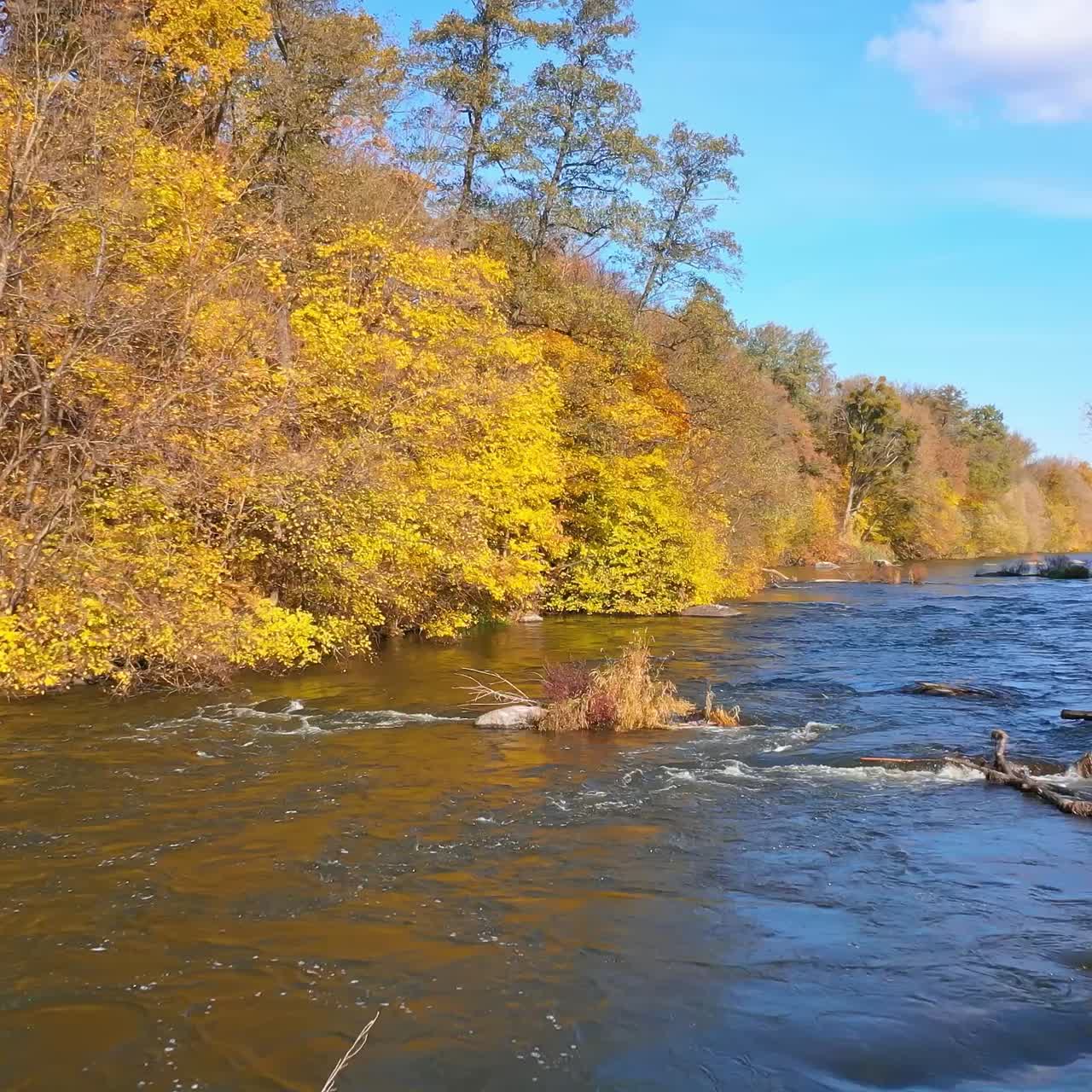 Aerial Flight Over Autumn River