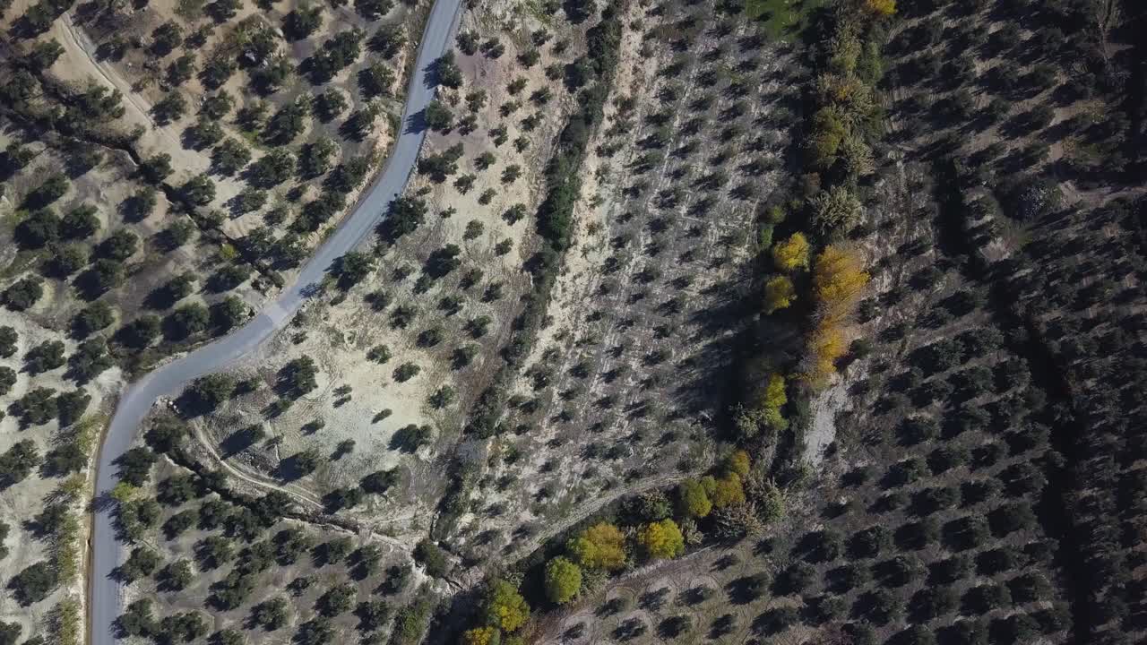 vista aérea del sendero de un río en otoño con una carretera y un campo de olivos