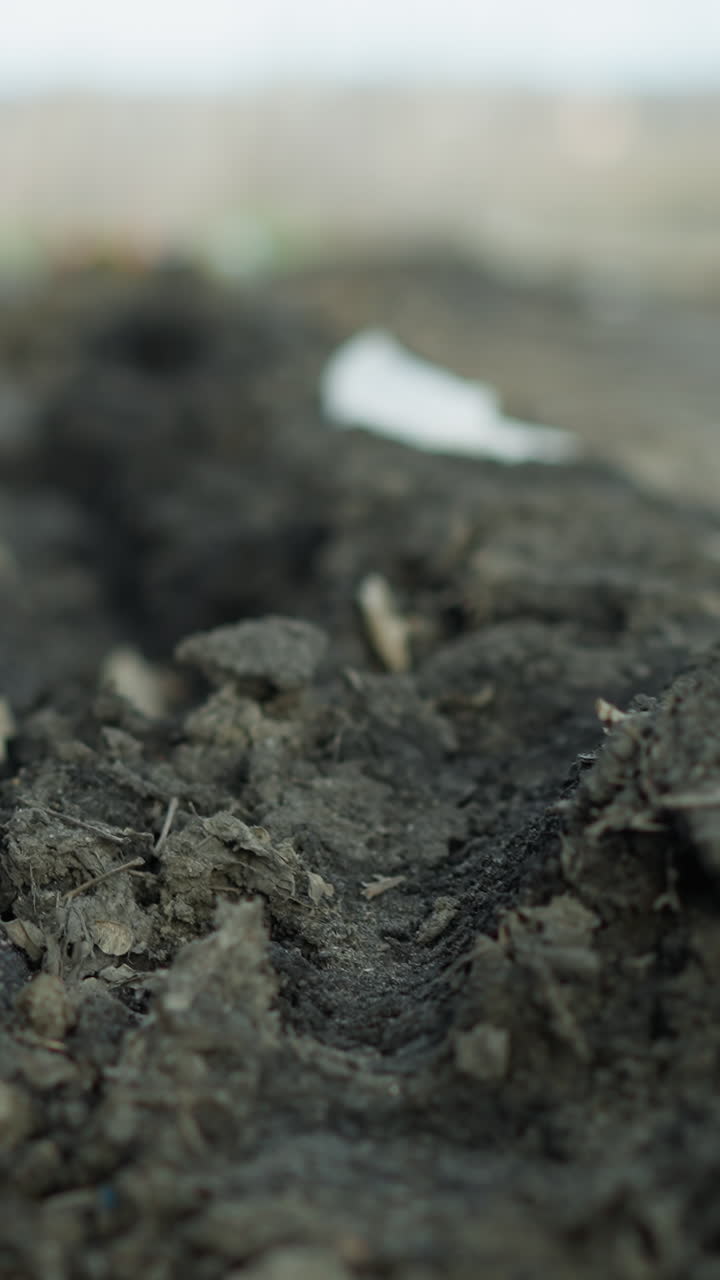 Close-up view of a muddy trench filled with rainwater on leaf-covered ground, with wet soil, decaying leaves, and patches of green grass in a natural, outdoor setting