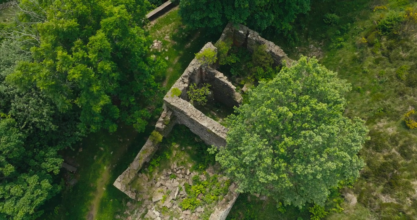Orbita di drone dall'alto che rivela una storica rovina in pietra nascosta nella foresta, con autentiche mura esterne ancora in piedi tra boschi lussureggianti e natura incontaminata