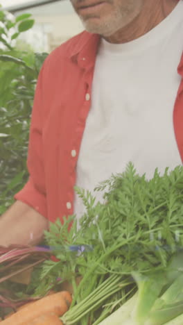 animación de luces brillantes sobre un hombre caucásico que lleva una caja de verduras frescas en el jardín