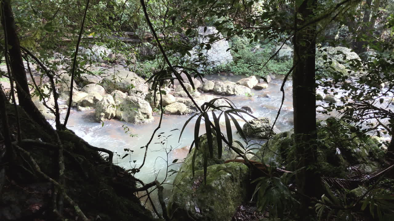 tiro de muñeca, cámara lenta, arroyo que fluye, puente natural cascada springbrook, queensland