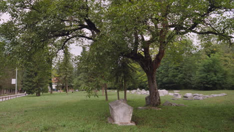 an ancient grave under an old tree in the graveyard of mramorje , serbia