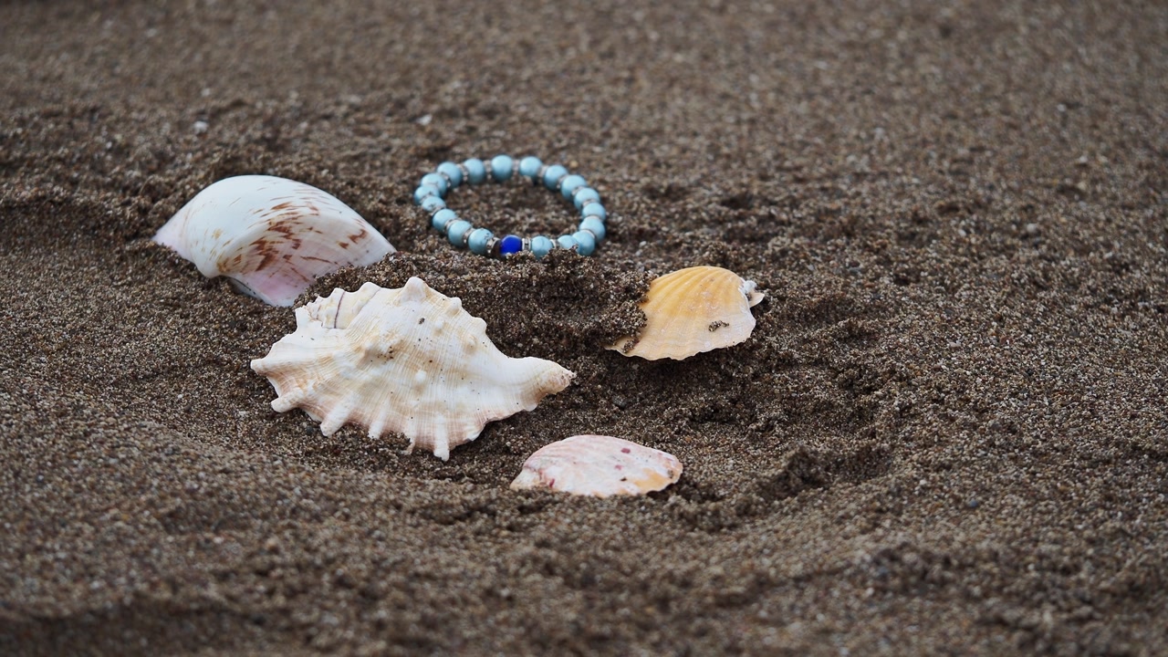 Seashells and Blue Beaded Bracelet on Dark Beach Sand