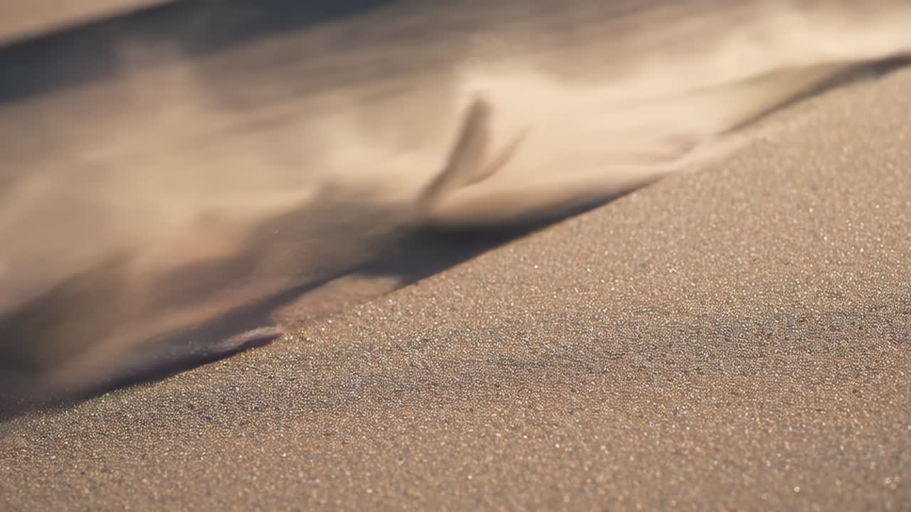 바람에 날아다니는 모래