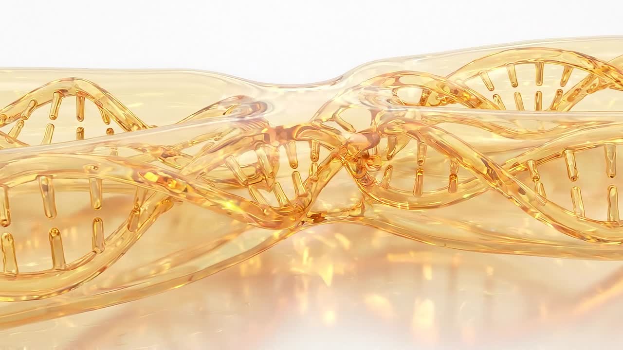 Gylden kromosomstruktur isoleret på hvid baggrund med synlig DNA-helix, der illustrerer et molekylærbiologisk forskningskoncept