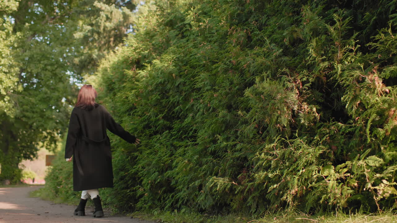 가을을 사랑하는 사람이 공원 산책로를 따라 거닐고, 손이 빽빽한 녹색 울타리 옆 가을 단풍 위로 미끄러지듯 움직이는 뒷모습의 롱 샷이에요. 부드러운 햇빛 아래에서 느리고 편안하게 걷고, 고요한 야외의 순간, 조용한 분위기예요.