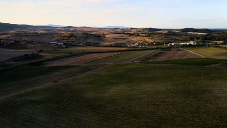 Aerial-landscape-view-of-vineyard-rows,-in-the-hills-of-Tuscany,-in-the-italian-countryside,-at-dusk