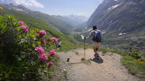 excursionista femenina sigue un sendero de montaña pintoresco con piscinas de senderismo en los alpes de mont blanc, una mezcla de prados alpinos y terreno rocoso