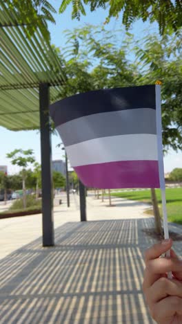 expressing identity with the asexual pride flag