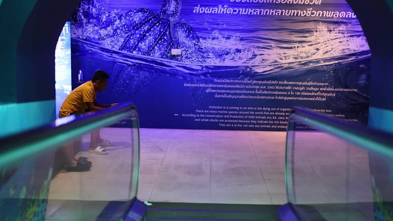 el visitante explora la exposición del acuario en la escalera mecánica
