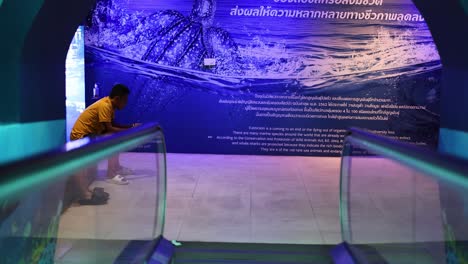 visitor explores aquarium exhibit on escalator