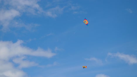 cometas en un cielo azul