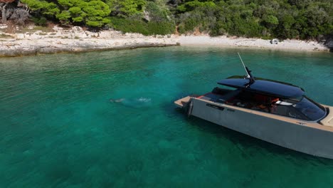 woman jumps from boat in beautiful turquoise sea - aerial view of cove