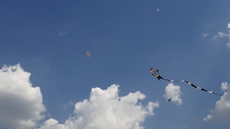 kite competition on the sky