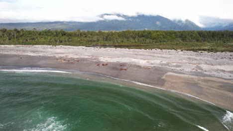 maori beach in bruce bay in summer in south island, new zealand. - aerial shot