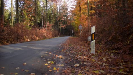 Street-through-a-autumn-forest-with-colorful-leaves-and-golden-sunlight