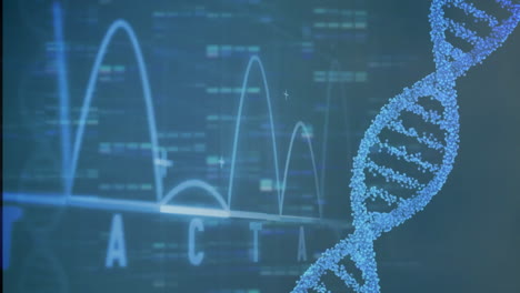 Animación-De-La-Cadena-De-ADN-Y-Procesamiento-De-Datos-Sobre-Fondo-Oscuro