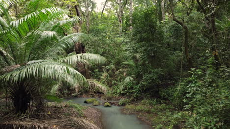 Jungle-vegetation-in-aerial-view-through-the-rainforest